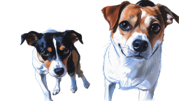 Dogs