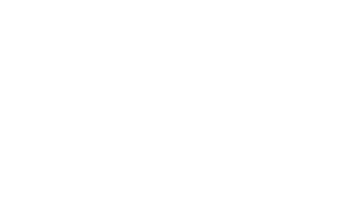 Pong
